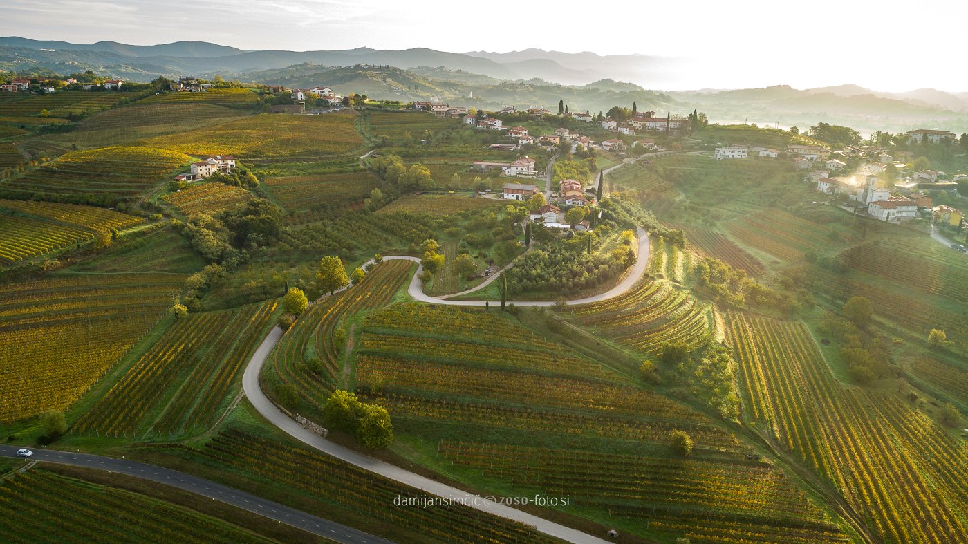 Sprehodite se med neskončnimi griči in vinogradi